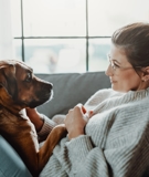 Pet Custody in Washington