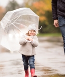 Understanding Child Custody Rights in Washington State